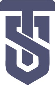 Home ts logo